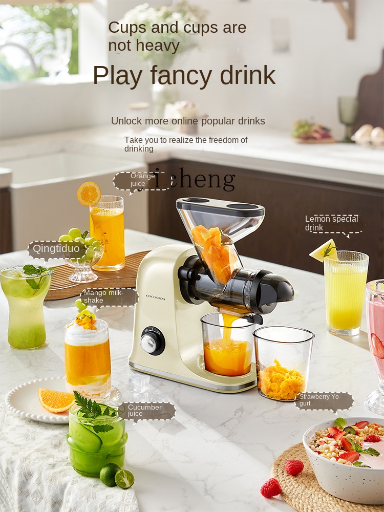 cc28 Low Speed Juicer Juicer S - Juicer 评论和价格