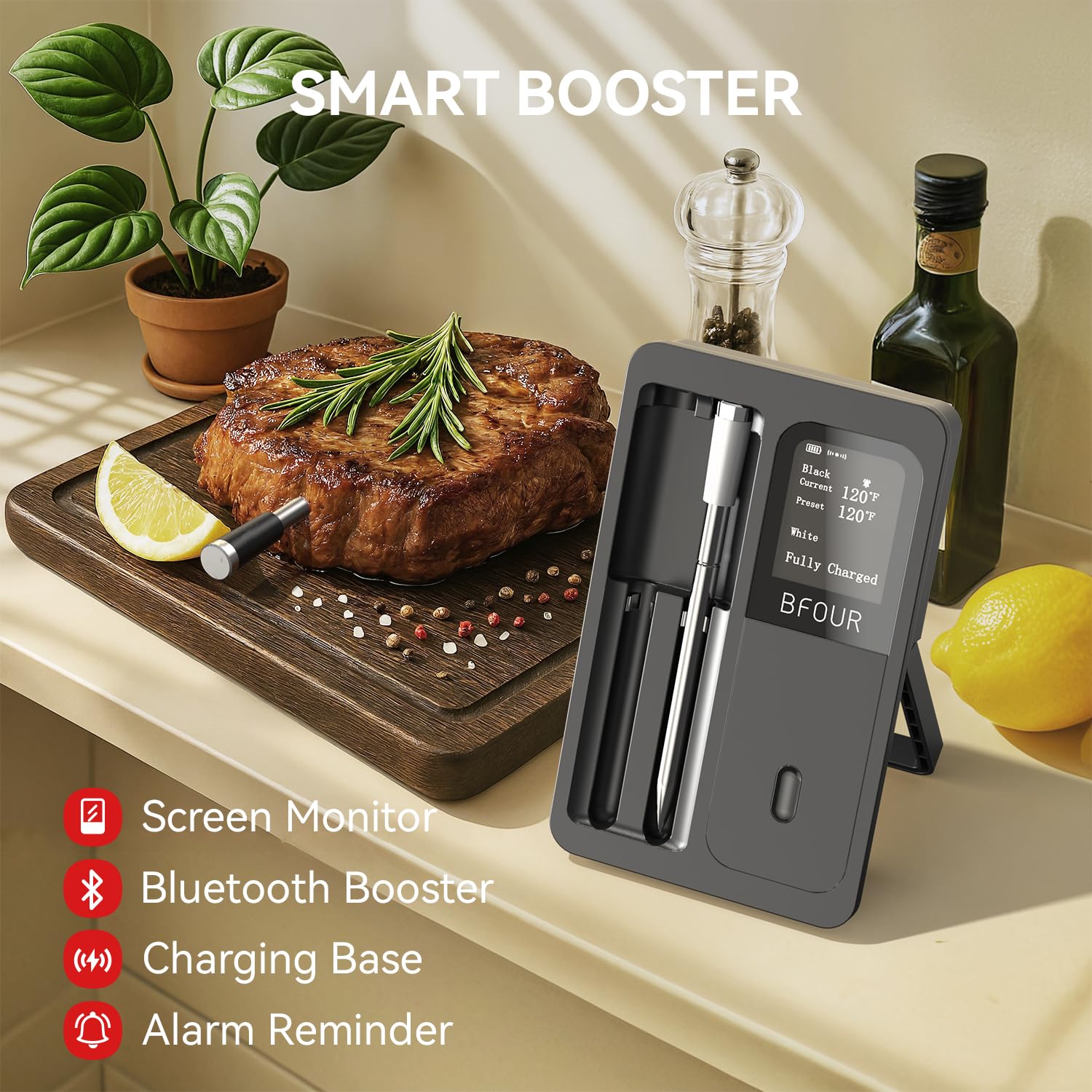 Wireless Meat Thermometer Blue - Kitchen Appliances Video 评论和价格