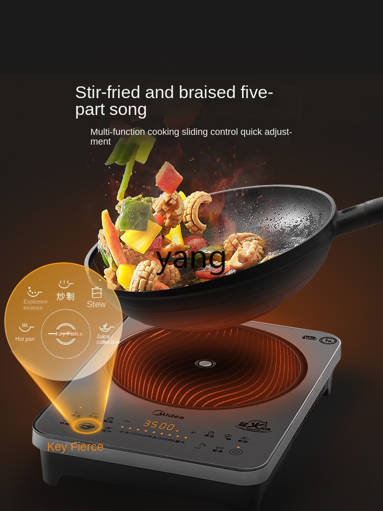 LMM Household Induction Cooker - Induction Cooker 评论和价格