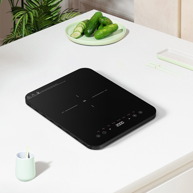 Dual heat dissipation inductio - Induction Cooktop Portable 评论和价格