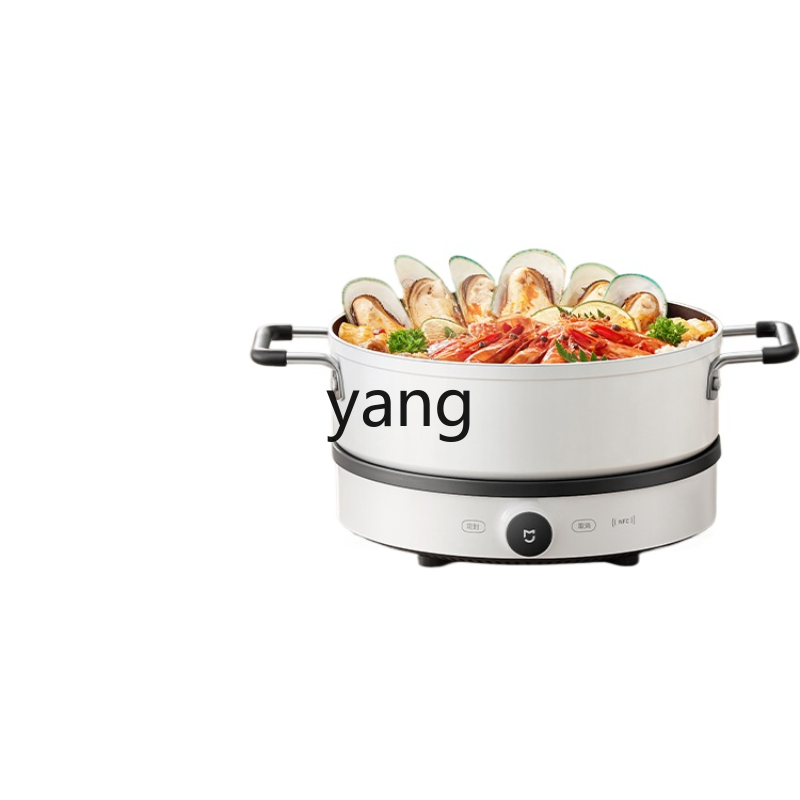 LMM  Induction Cooker Househol - Induction Cooker 评论和价格
