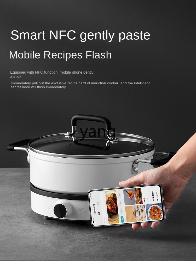 LMM  Induction Cooker Househol - Induction Cooker 评论和价格