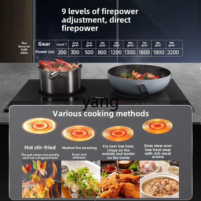 CX  induction cooker double st - Induction Cooker 评论和价格