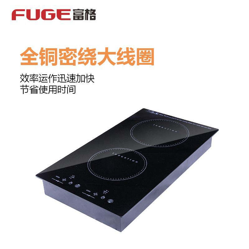 AOLIVIYA High Power Double Bur - Induction Cooktop Portable 评论和价格