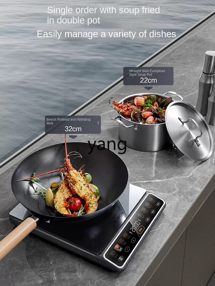 LMM High-Power 2200W Household - Induction Cooker 评论和价格