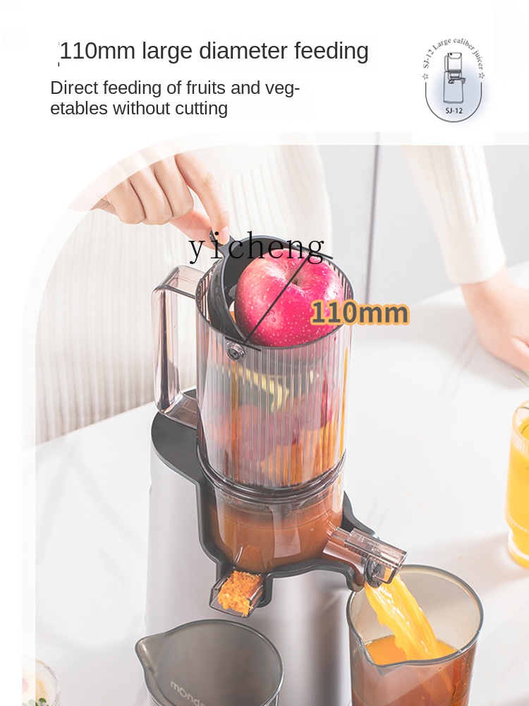 cc28 Juicer Automatic Slag Jui - Juicer 评论和价格