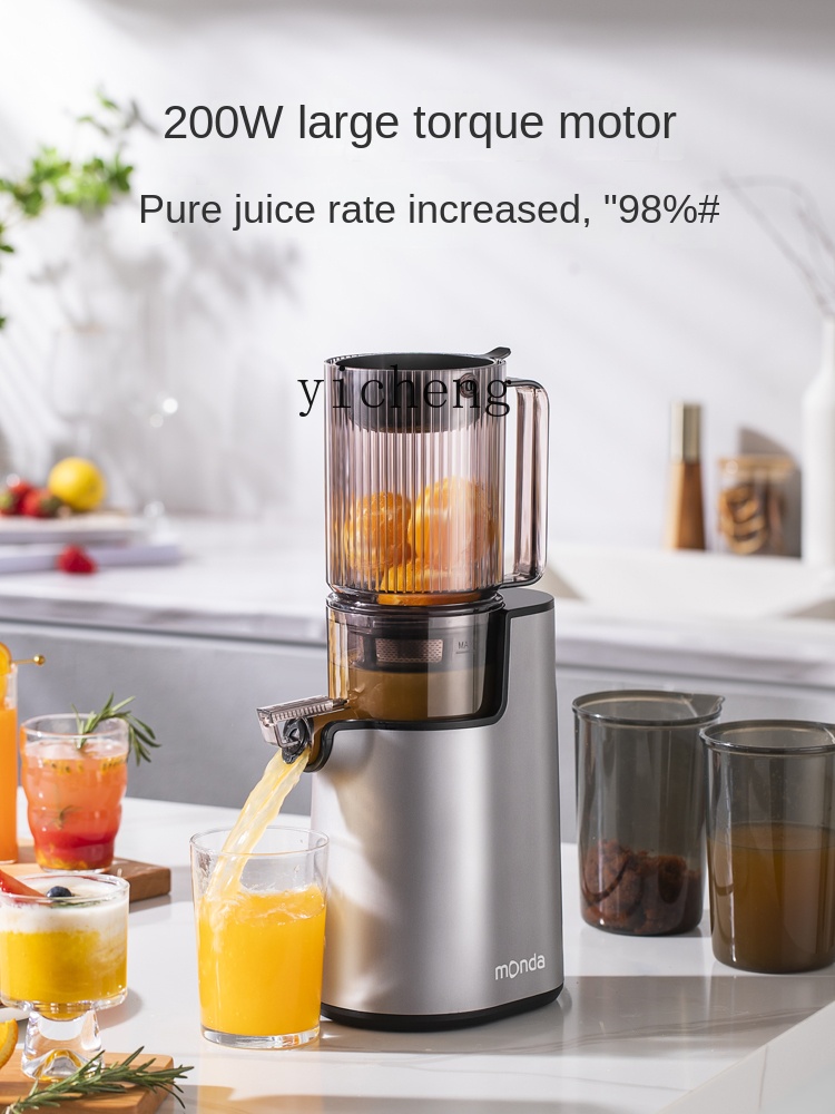 cc28 Juicer Automatic Slag Jui - Juicer 评论和价格